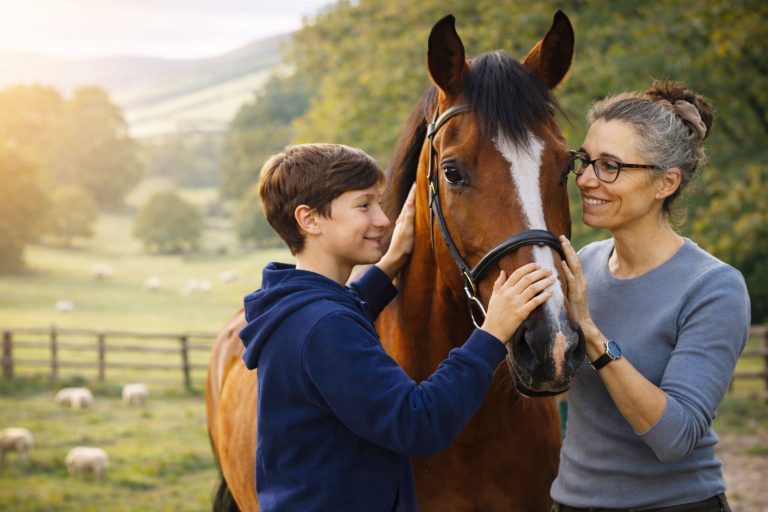 Pony Pals Wrekin equine assisted therapy website hero image